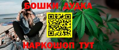 таблы Новодвинск