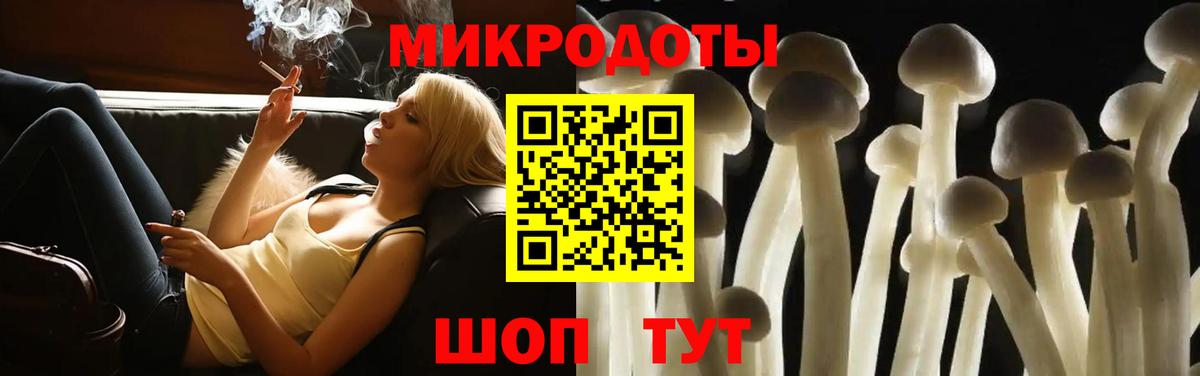 что такое   Вход с VPN  Хасавюрт  Псилоцибиновые грибы GOLDEN TEACHER 